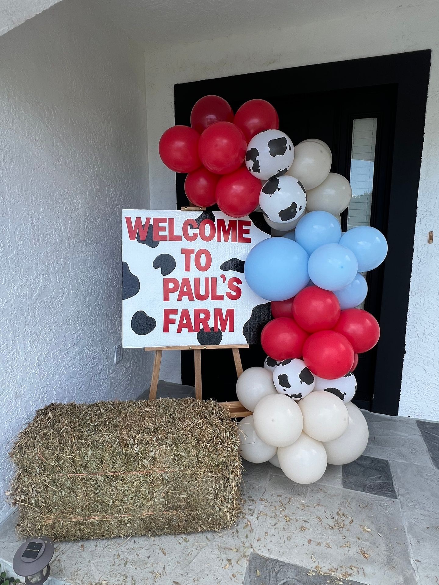 Outdoor Balloon Installations